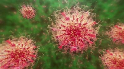 omicron, covid, coronavirus