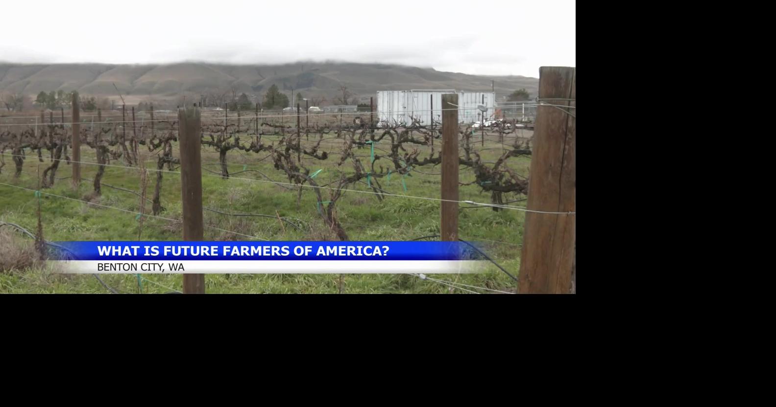 Future Farmers of America Program thrives at Kiona Benton High School