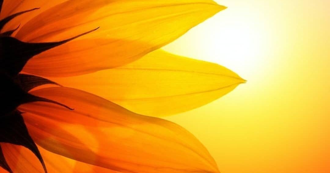 Hottest Septembers in Washington since 1895