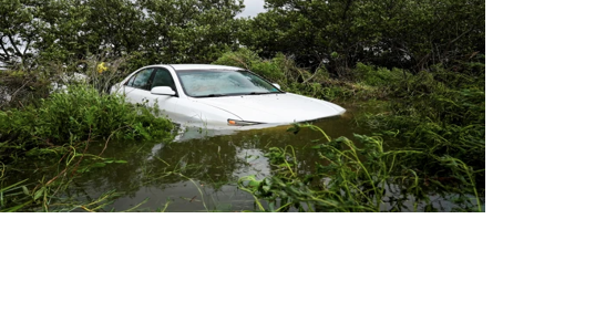 Florida residents who rode out Hurricane Idalia had to 'swim out of their windows,' couple say - Vimarsana News