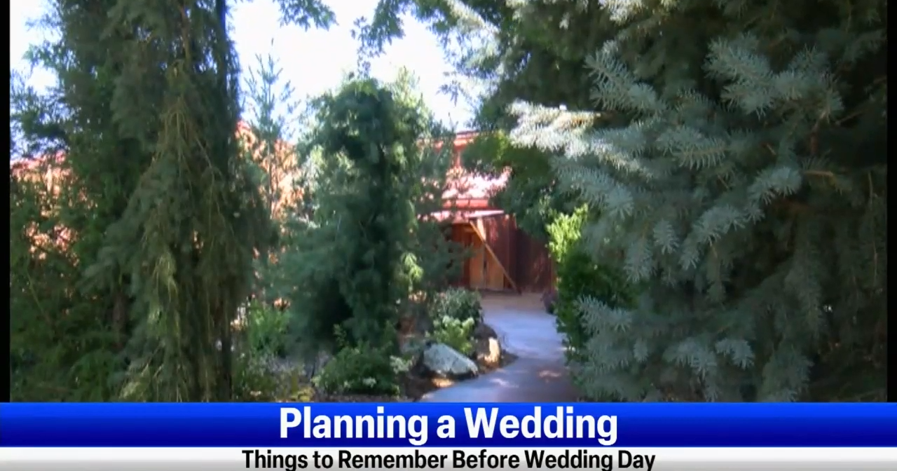 Things to remember when planning a wedding - Vimarsana News