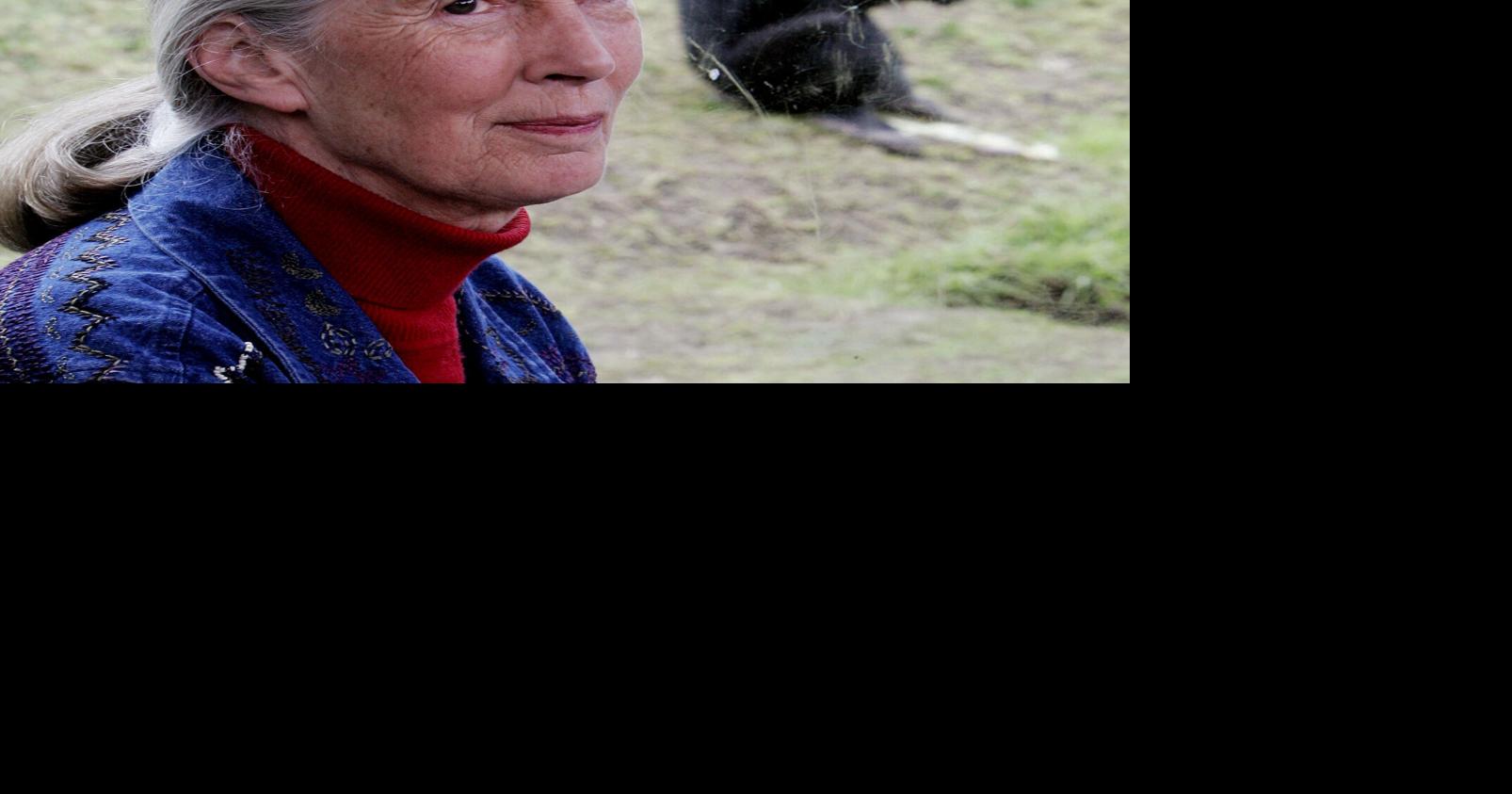 Researcher, conservationist and peacemaker Jane Goodall dies at 91