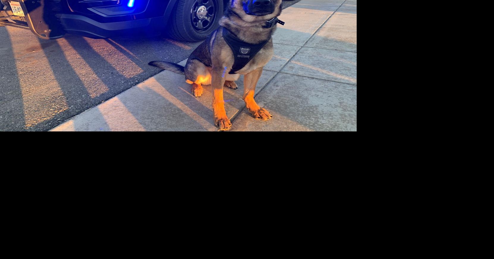 KPD K-9 Catches Burglary Suspects After Ramming Police Car and Pursuit ...