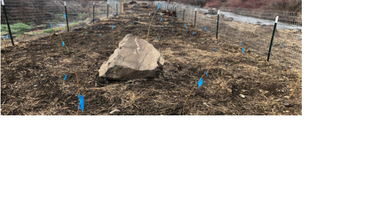 Ecology grants to fund seven Eastern Washington water quality improvement projects - Vimarsana News