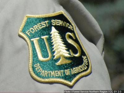 FOREST SERVICE