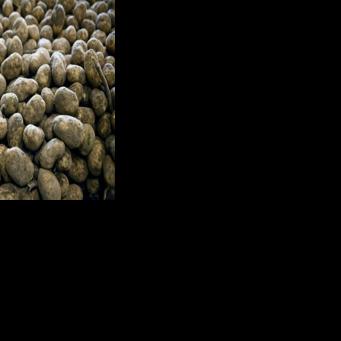 Faced with increasing supply and plummeting prices, European farmers have been hit hard by market fluctuations