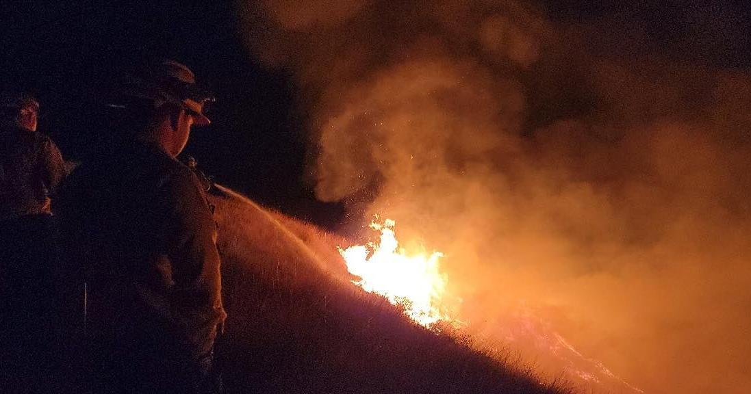 Franklin, Kittitas County organizations get funding for wildfire risk reduction - Vimarsana News