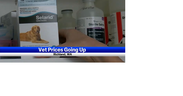 Inflation at the vet impacting dog owners and dog shelters - Vimarsana News