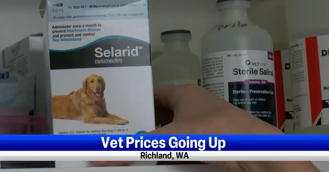 Inflation at the vet impacting dog owners and dog shelters | News ...