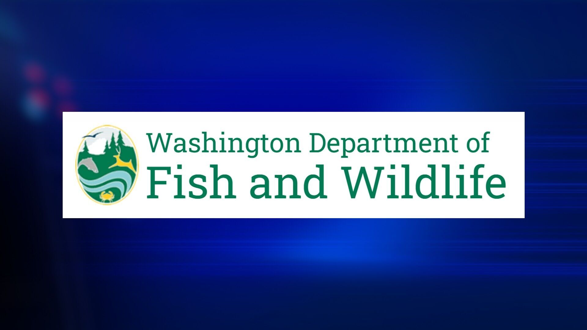 Washington State Halts Sales of Petroleum-Based Licensing Paper Amid Global Shortage — image 3