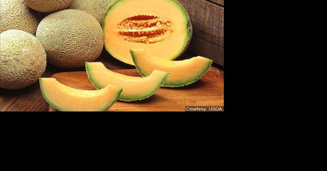 Two deaths now reported from Salmonella outbreak, CDC expands cantaloupe recall - Vimarsana News