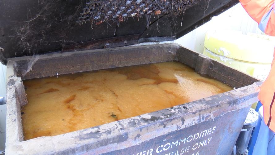 Why you shouldn't be pouring fats, oil and grease down the drain News