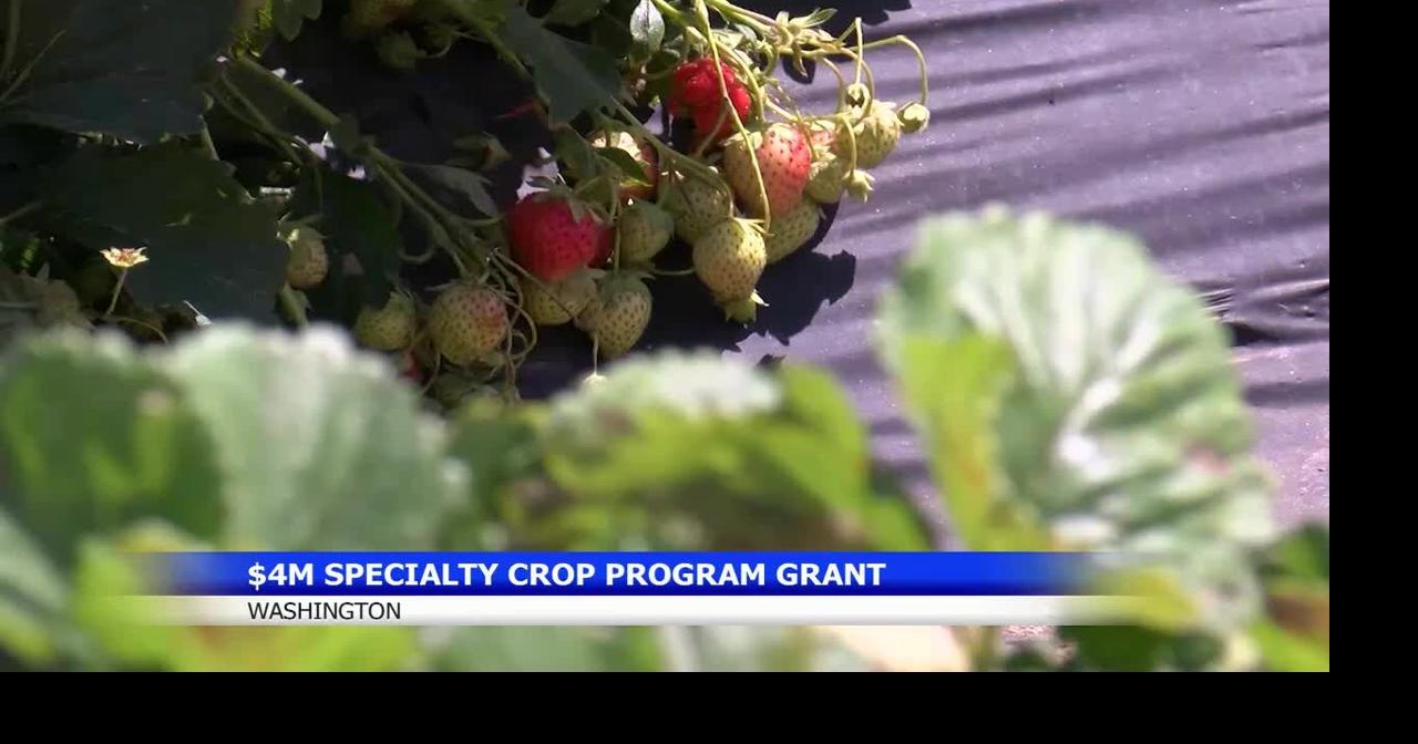 Washington secures USDA grant for specialty crop projects | News ...