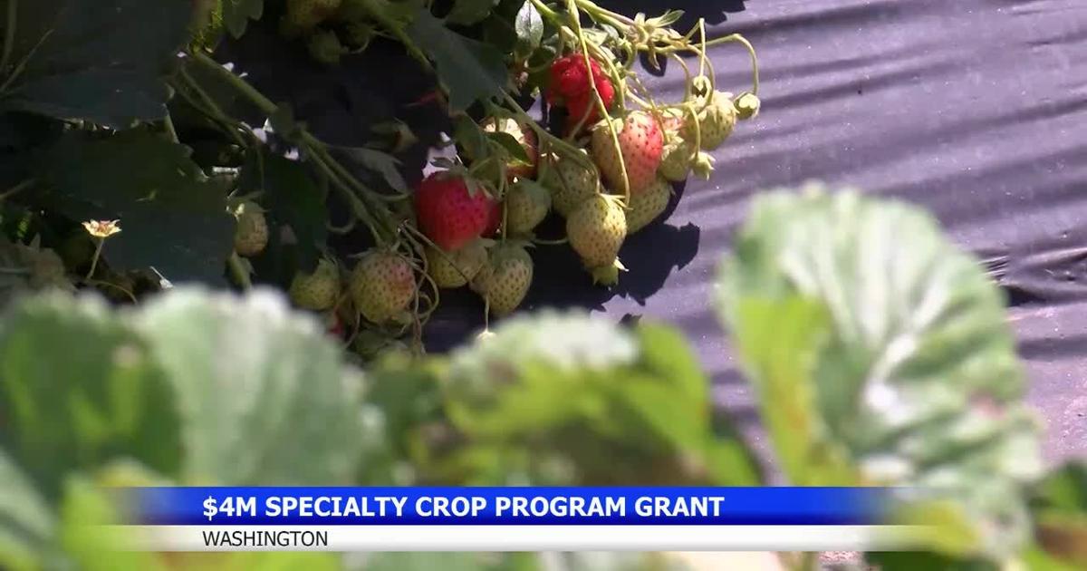 Washington secures USDA grant for specialty crop projects | News ...