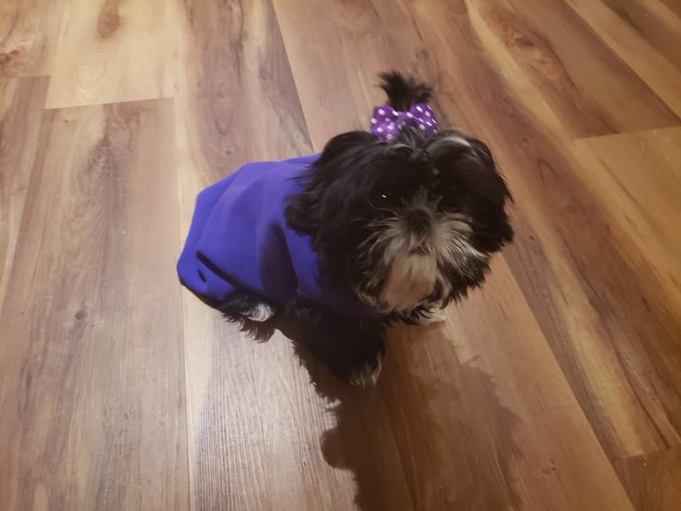 Dawn Barnes Princess Maggie Mae.jpg