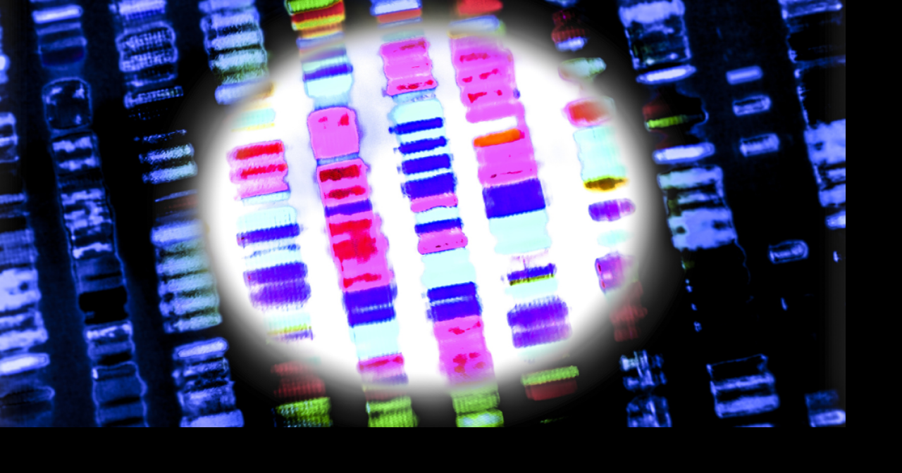 12 longevity trends that doctors are watching in 2026 | Health