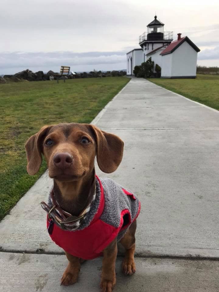Katie Donofrio Sweet Rolo!.jpg