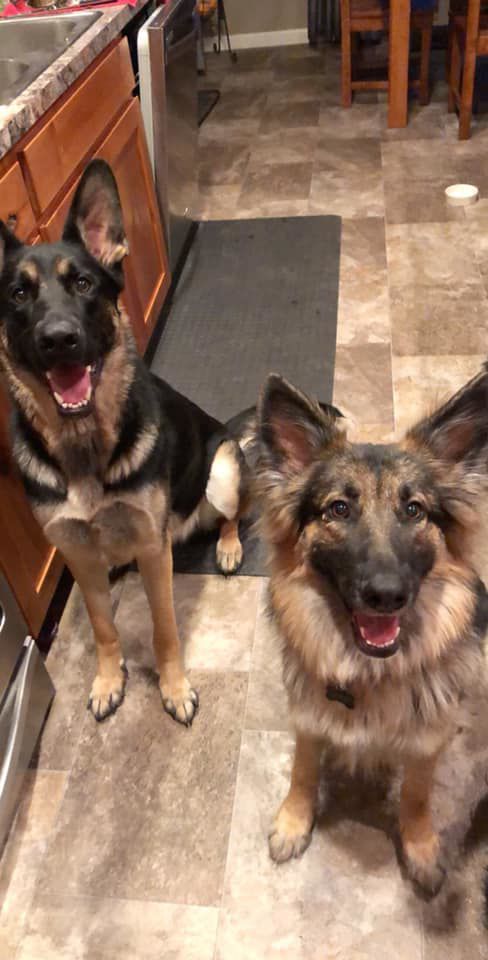 Maddy Miller Oakley and winter!.jpg