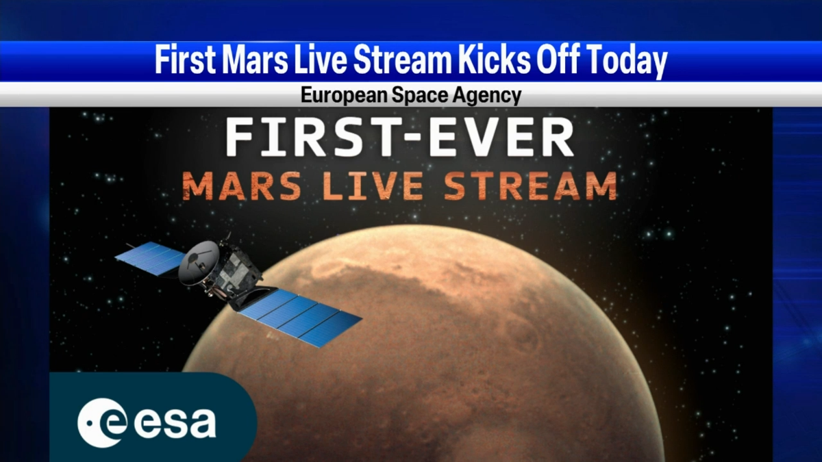 What s Trending Mars livestream