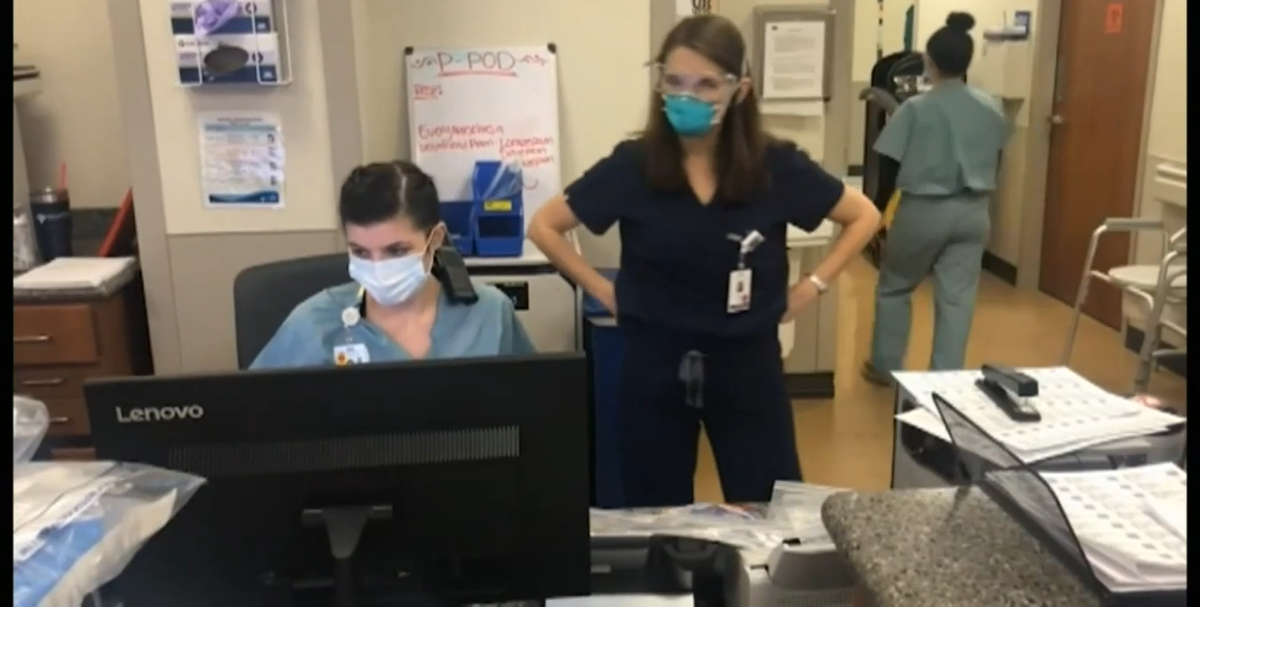 National Student Nurse Day News