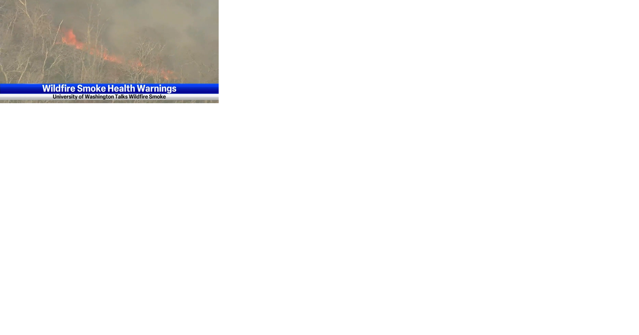 University of Washington pulmonologist provides information on what smoke does to your body - Vimarsana News