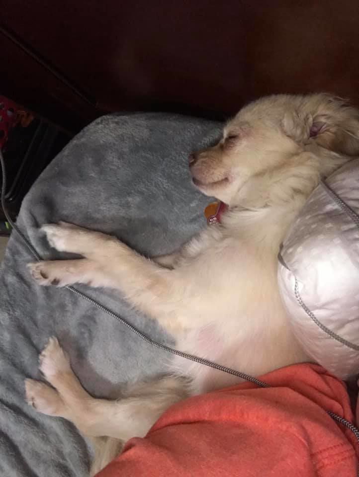Victoria Rendon Ms. Gracie lou.jpg