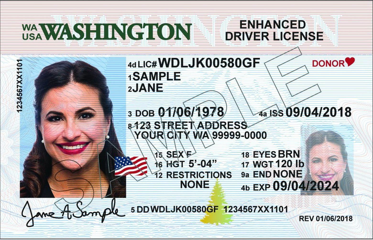 washington drivers license check