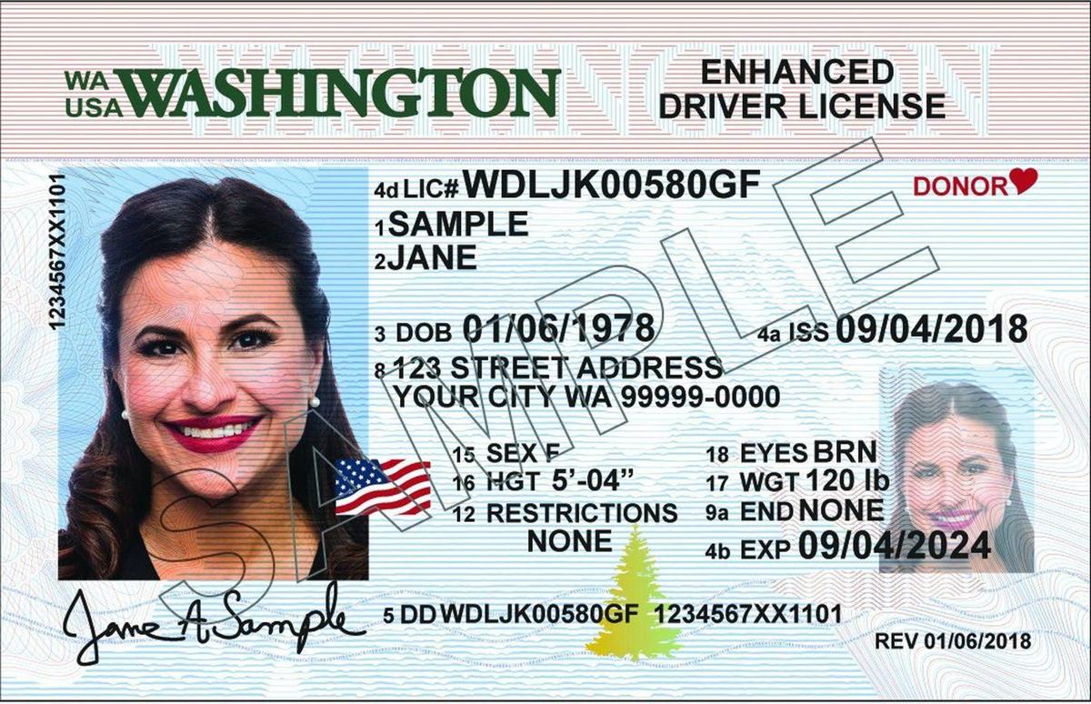 washington state drivers license