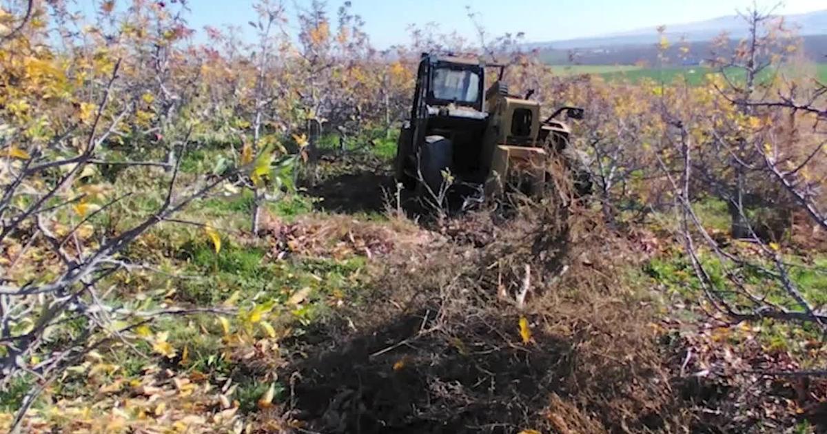 Telehandler crash in Royal City sends man to hospital | News ...