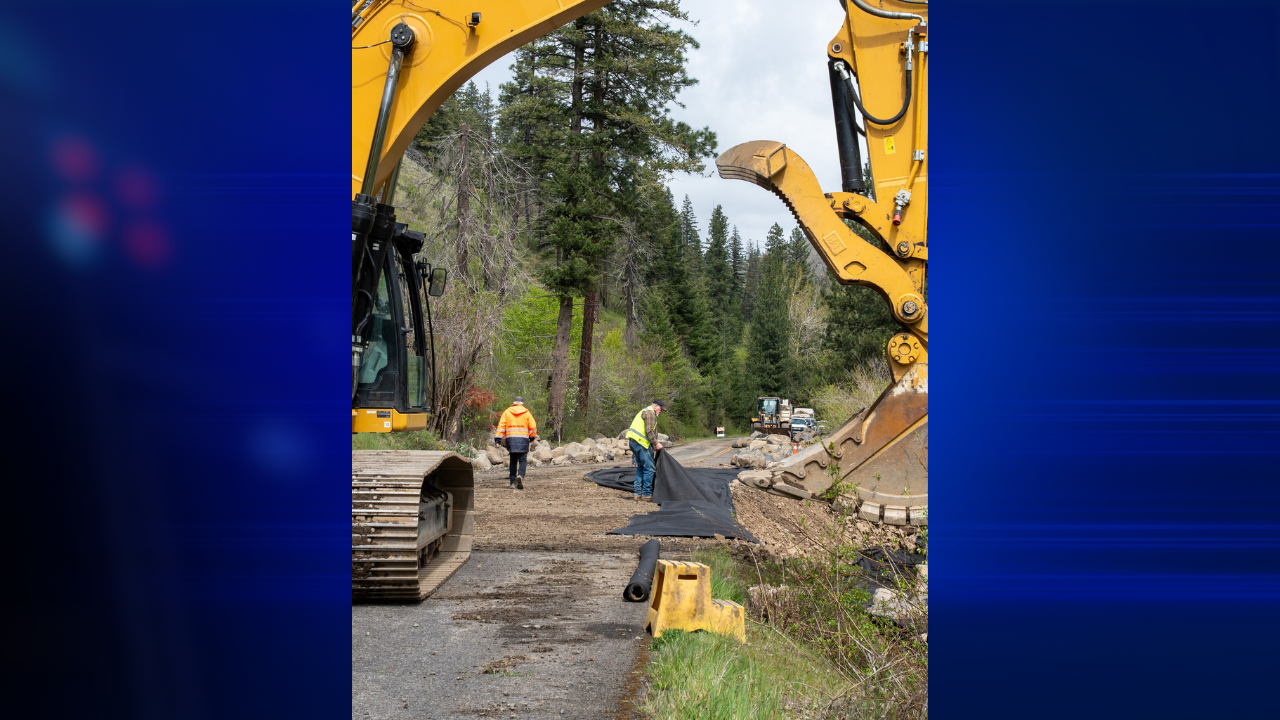 Washington State Halts Sales of Petroleum-Based Licensing Paper Amid Global Shortage — image 4