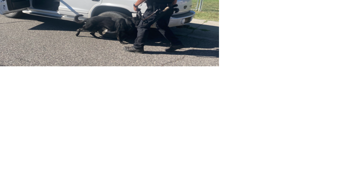 Richland PD has busy day with drug, traffic and warrant arrests - Vimarsana News
