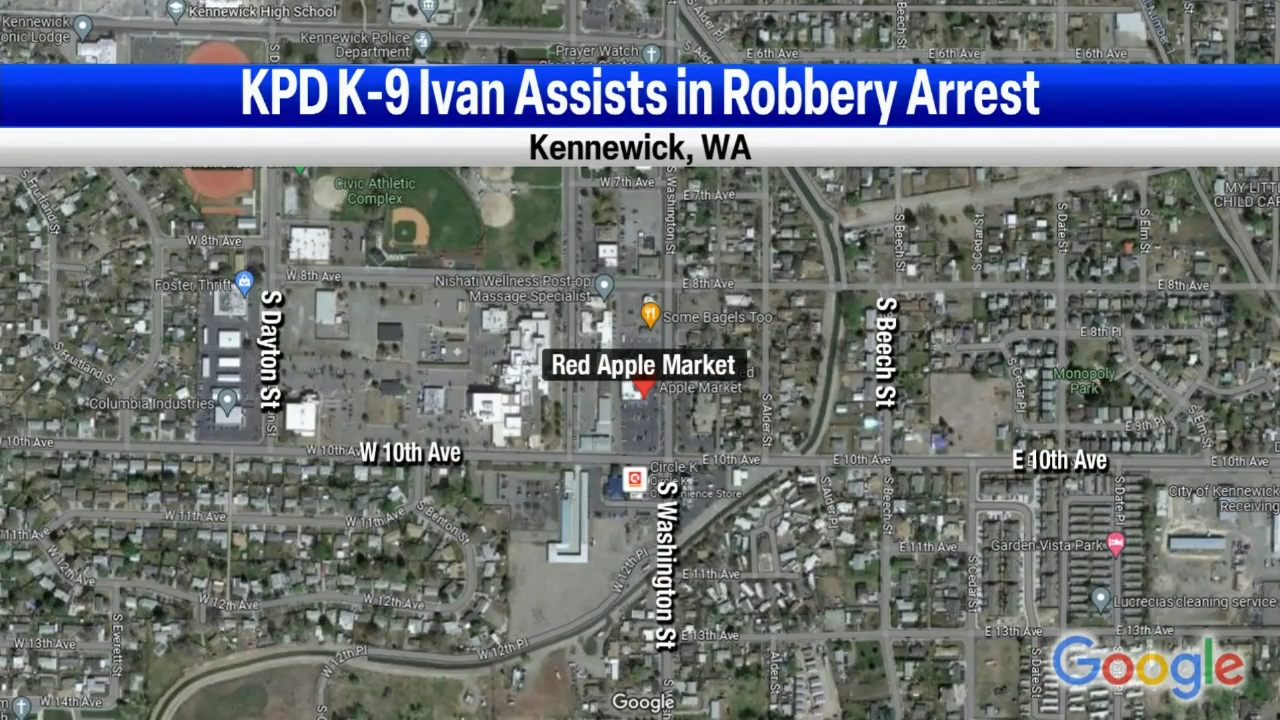 K9 Ivan Helps Kennewick Police Arrest Robbery Suspect | News ...