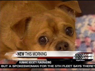 benton humane society