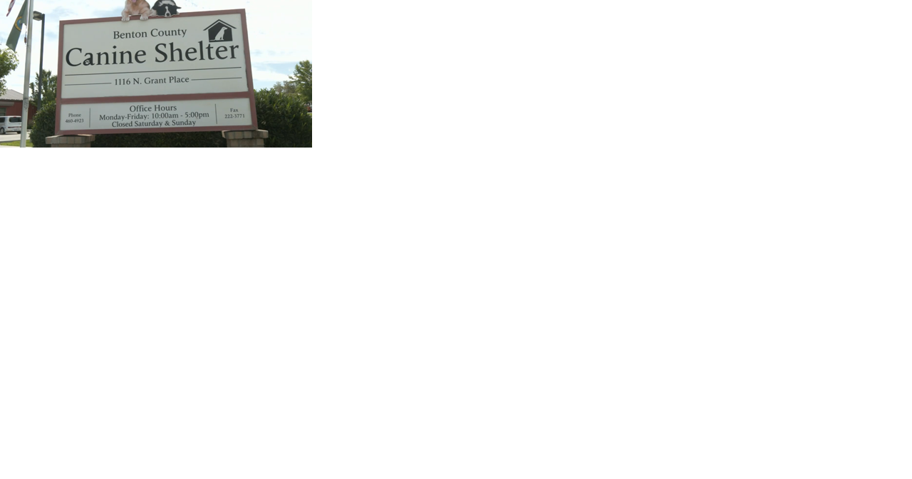 Benton dog pound clearance