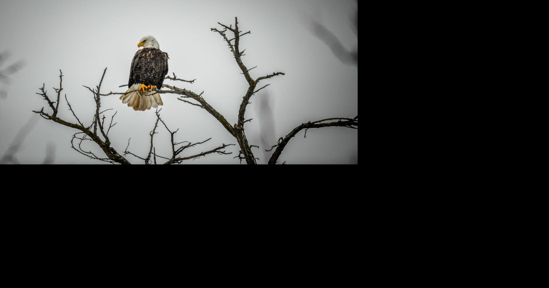 It's National Nature Photography day News