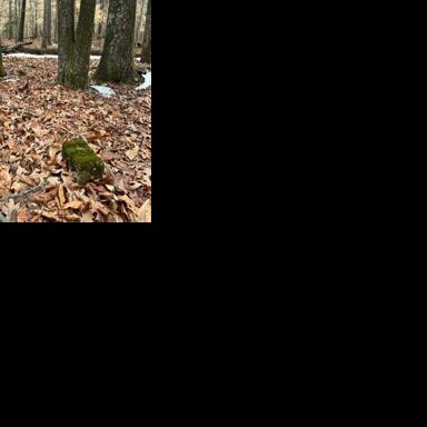 Dozens of similar sites have been identified across the United States, but the Maryland site is believed to be the largest