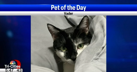 Pet of the Day: Vader | Top Video 