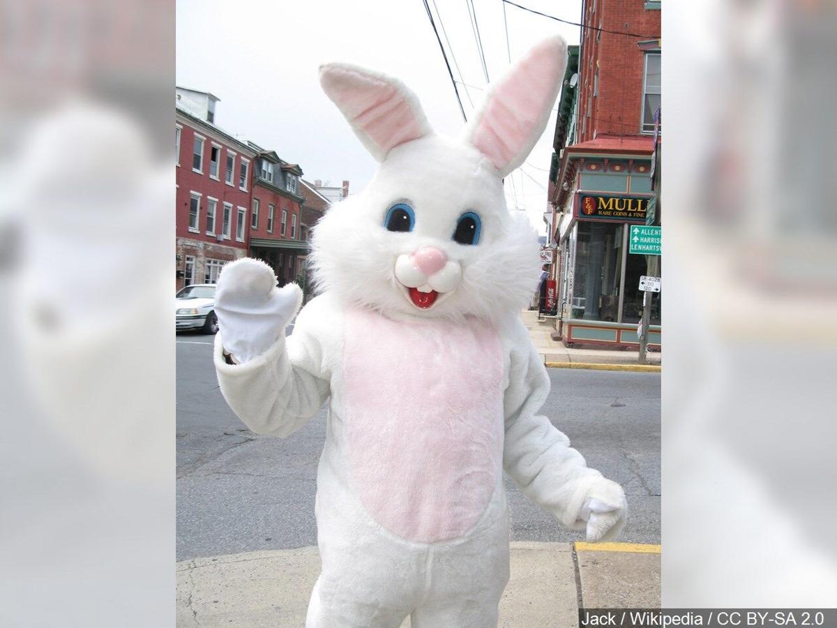 Valley Mall In Union Gap Welcomes The Easter Bunny And Hosts Drive Thru Easter Egg Hunt News Nbcrightnow Com