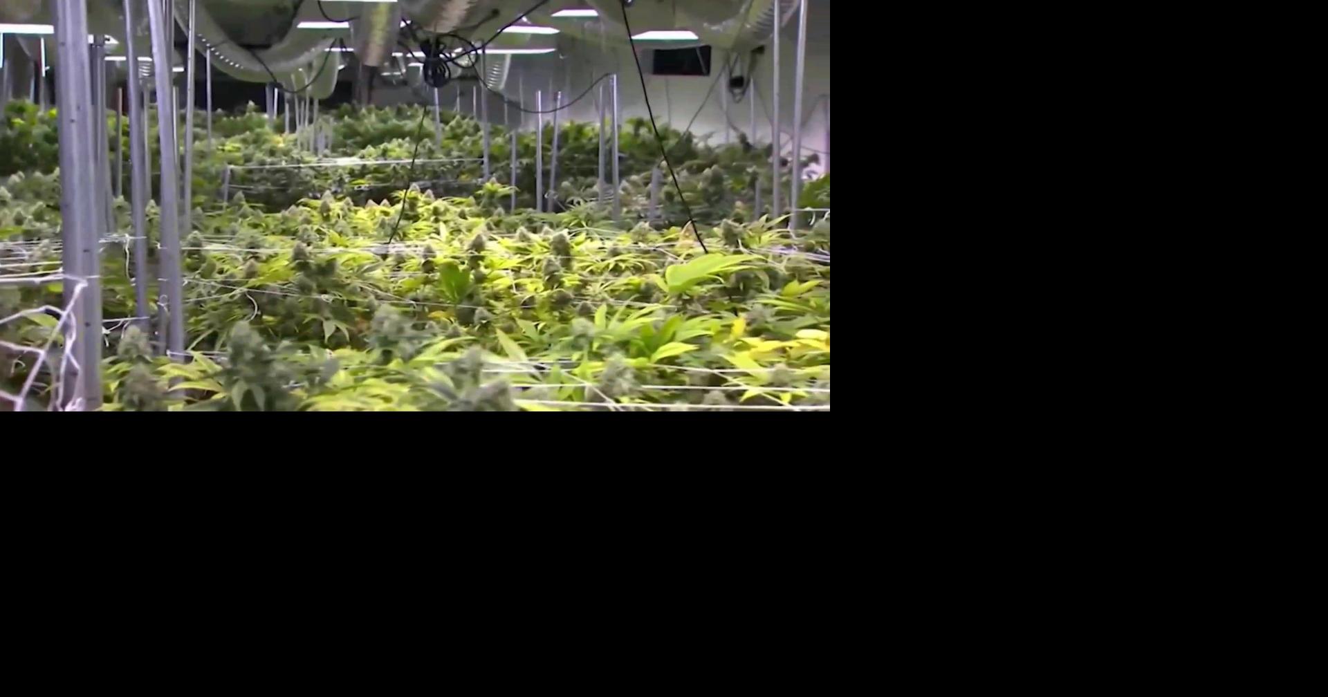 Hemp industry faces uncertainty with new federal regulation looming