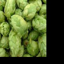 Yakima's beer scene gains national attention in USA Today's 10Best awards