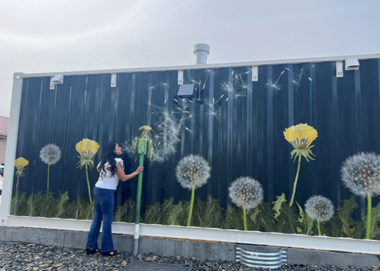 New mural art unveiled at Columbia Gardens in Kennewick | News ...