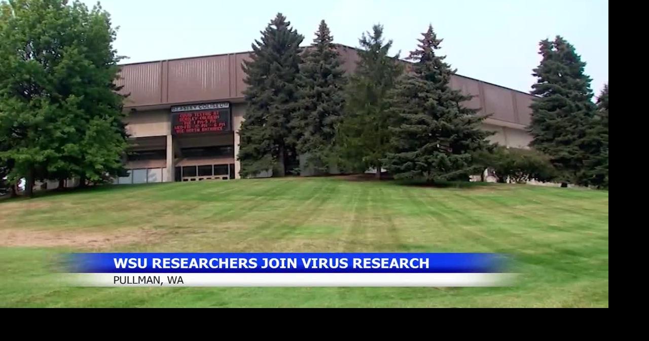 Washington State University leads effort to fight Rift Valley fever with new research initiative