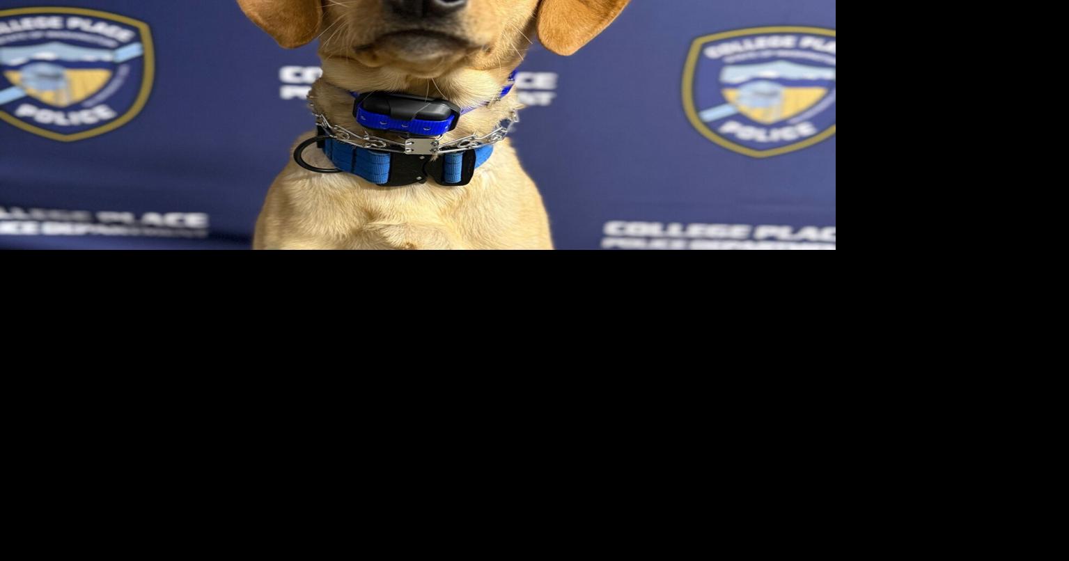 College Place welcomes first-ever drug detection K9 officer