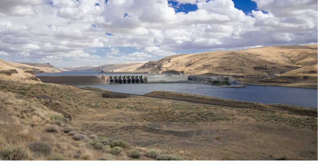 Little goose lock and dam