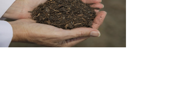 Washington farmers could get reimbursed for compost expenses - Vimarsana News