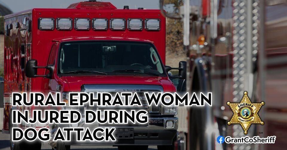 Ephrata woman hospitalized after being attacked by 6 dogs | Regional ...