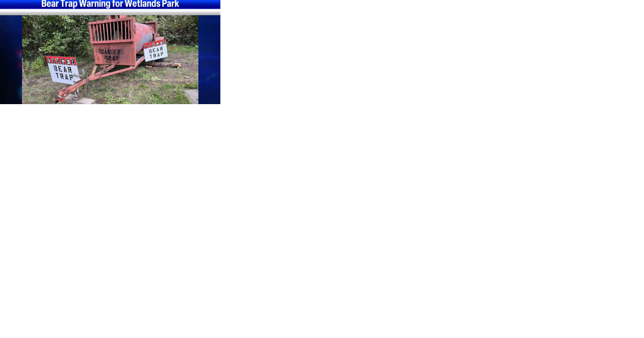 Reports of bear in Umatilla Wetlands Park prompt bear trap deployment - Vimarsana News