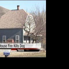 Family dog dies in house fire | News | nbcrightnow.com