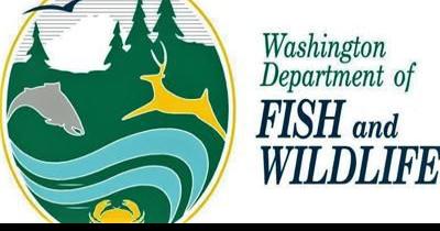 Fire restrictions will be lifted on most public lands on September 29 - Vimarsana News