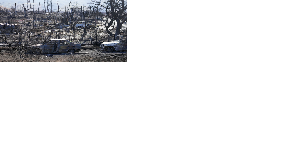 First came the deadly fires on Maui, then the looters and speculators - Vimarsana News